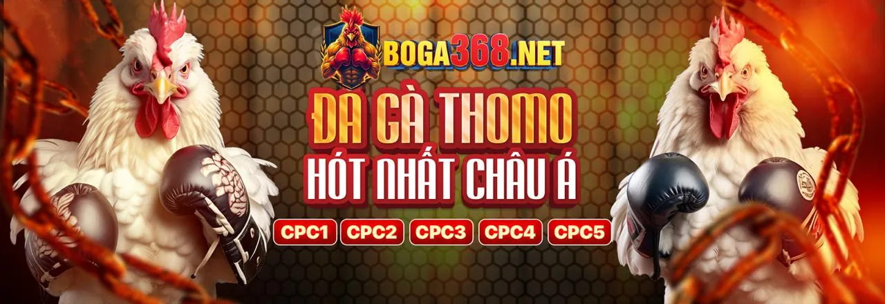 Hình ảnh chính gà đá casino 2026 với sòng bạc trực tuyến và ưu đãi hấp dẫn